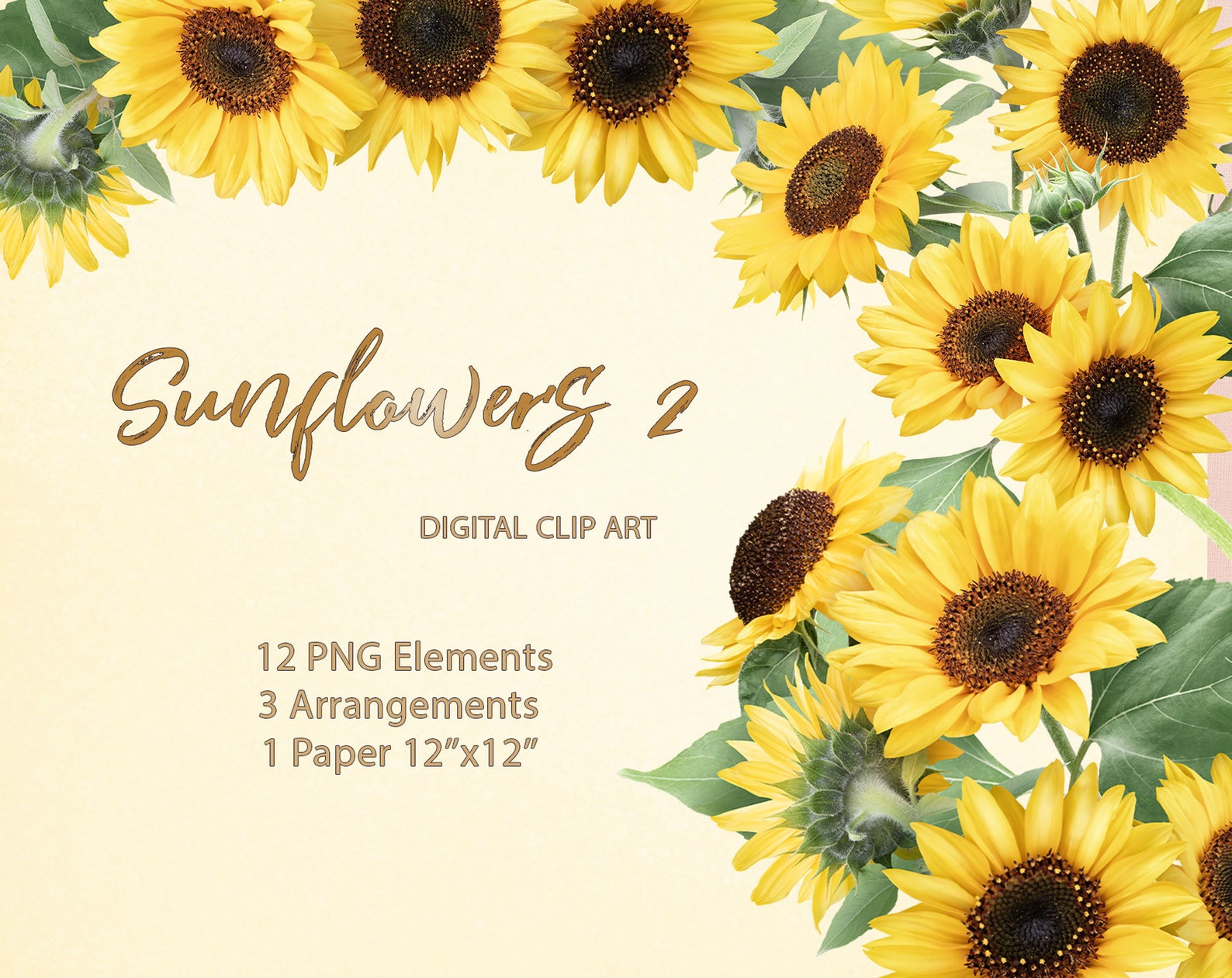 Sunflower Clipart. Sunflowers Bouquets. Floral Arrangements. Etsy