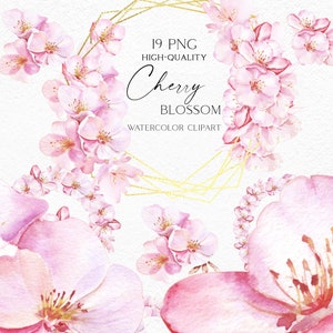Clipart di fiori di ciliegio. Acquerello sakura blossom png, Fiori rosa e cornici dorate per inviti di nozze, baby shower