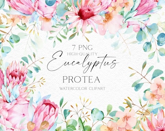 May include: Watercolor clipart featuring pink and red protea flowers, eucalyptus leaves, and gold accents. The clipart is perfect for creating invitations, cards, and other paper crafts.