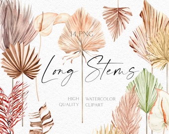 Watercolor boho flower clipart, Tropical clipart for summer wedding invitations, Palm clipart feminine floral logo 010