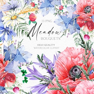Aquarelle fleurs sauvages clipart, fleurs des prés png, clipart bouquet floral Boho avec coquelicot, bleuet, marguerite, trèfle, blé 047