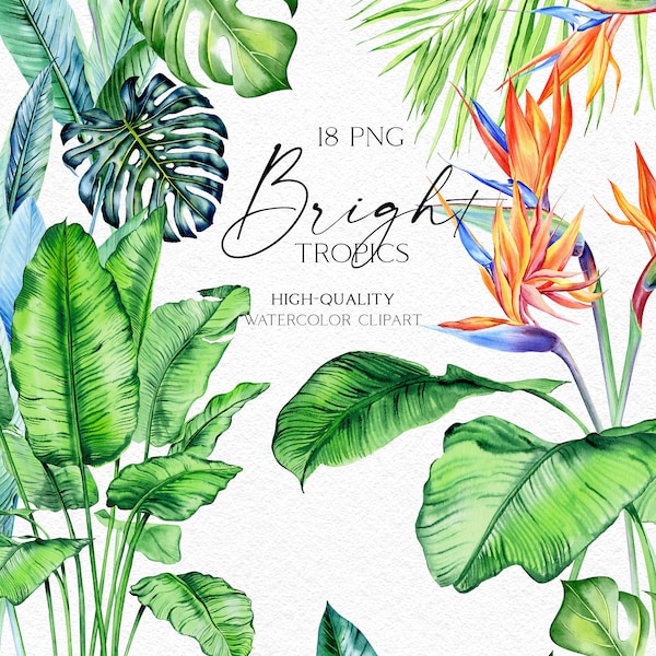 Watercolor tropical clipart. Greenery palm leaves png, Tropical bouquet clipart  for wedding invitation, birthday cards, beach party