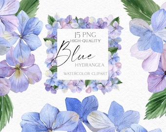 May include: A digital illustration of blue hydrangea flowers. The flowers are arranged in a cluster and have a watercolor effect. The text "15 PNG HIGH-QUALITY Blue HYDRANGEA WATERCOLOR CLIPART" is displayed in a white box.