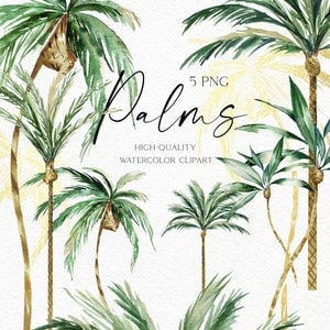Boho palm tree png, Akwarela palm tree clipart, Malowane ręcznie tropikalne clipart z liśćmi palmowymi png