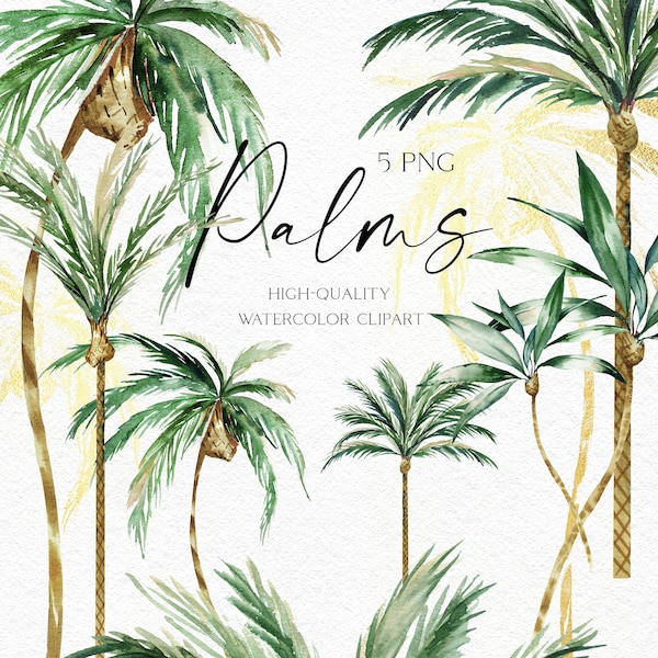 Boho palm tree png, Watercolor palm tree clipart, Hand-painted tropical clipart with palm leaves png