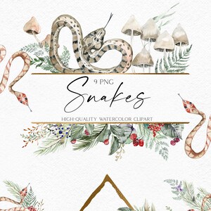 Decoração de cobra fofa em aquarela, clipart de cobra de animais da floresta, cobra de conto de fadas e vegetação da floresta para design de logotipo, decoração moderna de Halloween 079