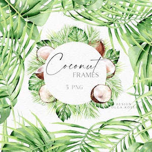 Clipart de coco aquarela, quadros de folhas da selva, clipart de bordas de coco para casamento tropical, embalagens, cosméticos, cartões comemorativos, logotipo