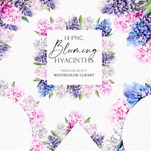 Aquarell Frühlingsblumen Clipart. Rosa und blaue Hyazinthe Blumenrahmen für Ostern, Hochzeitseinladungen, Babyparty, Mädchen Geburtstagskarte DIY