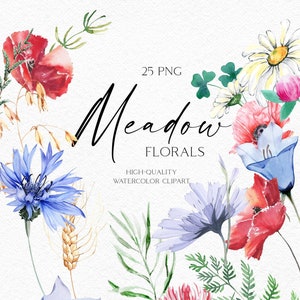 Clipart fleur bohème aquarelle, éléments png de fleurs sauvages, png de fleurs des prés - pavot, bleuet, marguerite, trèfle, blé, verdure 047