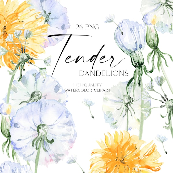 Watercolor floral clipart Dandelions png, Meadow flowers clipart, hand painted yellow and white flowers for baby shower, wedding invitations