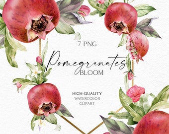 Watercolor pomegranate clipart, Bloom fruit botanical clipart, Jewish new year frame png, Rosh Hashanah, baby shower clipart 067