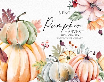 Watercolor pumpkin clipart, Fall pumpkin png, Garden icons, Farmhouse clipart for baby shower, harvest festival, plant mom gift 065