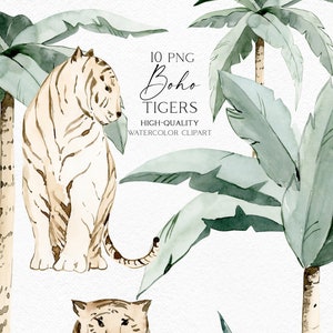 Clipart tropical boho aquarela, clipart de tigres, animais selvagens - clipart de png e palmeira de tigre para convites de casamento, chá de bebê, pôster