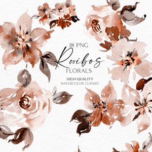 Boho rosas clipart, aquarela rosas marrons e rosa png, convite de casamento clipart, conjunto de chá de bebê, rústico ação de graças 054
