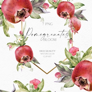 Imágenes prediseñadas de granada de acuarela, imágenes prediseñadas botánicas de frutas en flor, marco de año nuevo judío png, Rosh Hashaná, imágenes prediseñadas de baby shower 067
