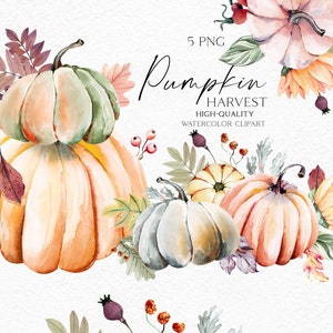 Herbst Kürbis Clipart, Herbst Kürbis, Garten Symbole, Bauernhaus Clipart für Babyparty, Erntedankfest, Pflanzenmutter Geschenk 065