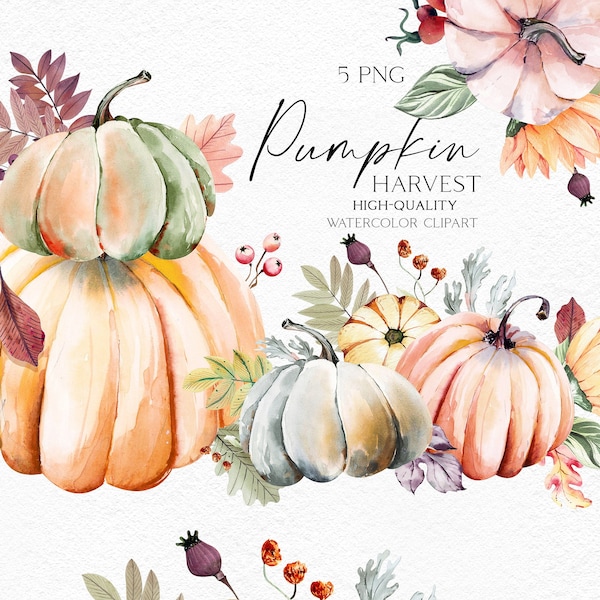 Watercolor pumpkin clipart, Fall pumpkin png, Garden icons, Farmhouse clipart for baby shower, harvest festival, plant mom gift 065