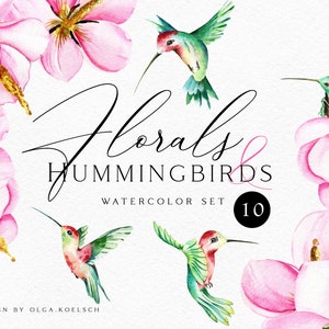 Watercolor hummingbird clipart. Tropical  pink flower clipart with exotic bird printable. Summer clipart with hummingbird PNG