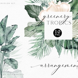 Boho tropical jungle leaves clipart, Hand drawn tropical borders png, Watercolor floral frames, white flowers and greenery clipart 012