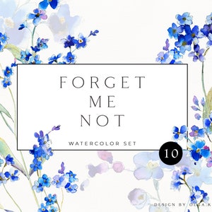 Forget me not clipart, clipart fleur bleue aquarelle, fleurs sauvages myosotis png pour baby shower, faire-part de mariage bohème 020