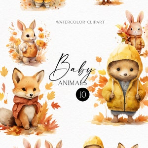 Clipart bébés animaux des bois, aquarelle bébé lapin png, décoration de shower de bébé automne neutre entre les sexes, cartes de rentrée, usage Commercial 150
