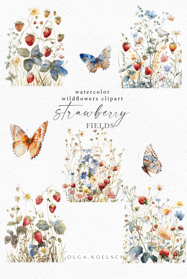 Może przedstawiać: Aquarelowe kliparty przedstawiające pole truskawek z dzikimi kwiatami i motylami. Tekst "watercolor wildflowers clipart strawberry FIELDS" znajduje się na dole obrazka.