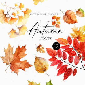 Herbst Ahornblatt Clipart, Herbst Ahornblatt, Ahornblatt, Ahornblätter, Herbstblätter, Scrapbooking, Herbst Babyparty 150