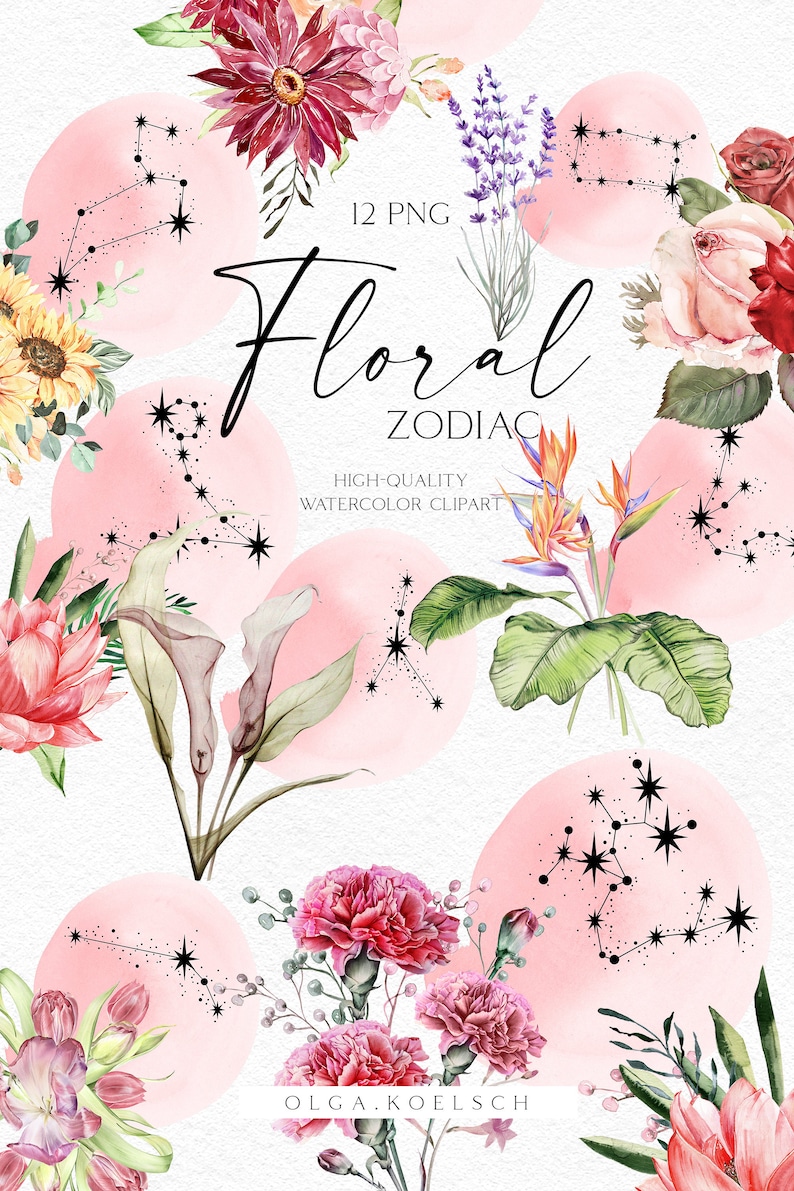 May include: Watercolor floral zodiac clipart set featuring 12 zodiac signs with flowers and leaves.  The signs are depicted in black and white with a pink background.  The flowers are in various colors, including red, pink, yellow, and green.