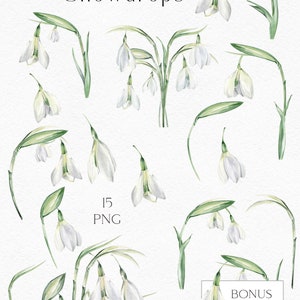 Watercolor Spring Flowers Clipart, Easter White Snowdrop Flowers for ...