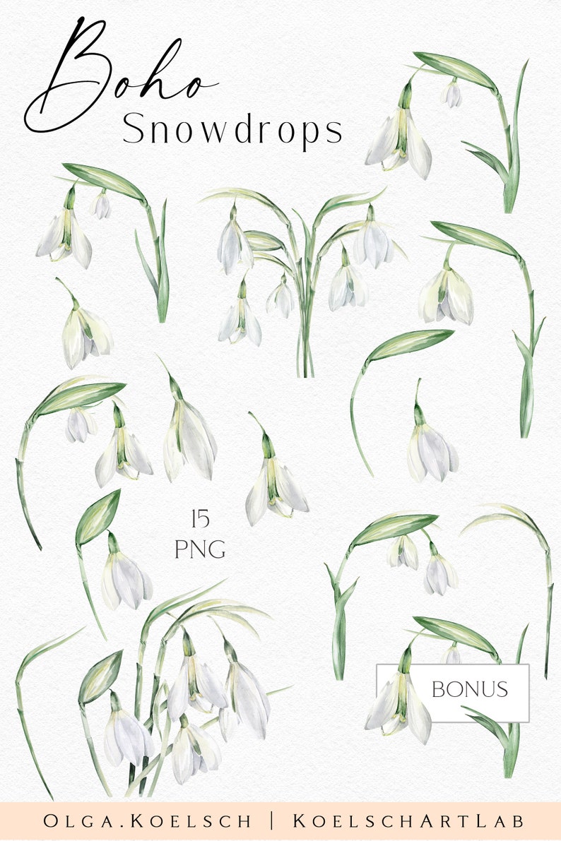Watercolor Spring Flowers Clipart, Easter White Snowdrop Flowers for ...