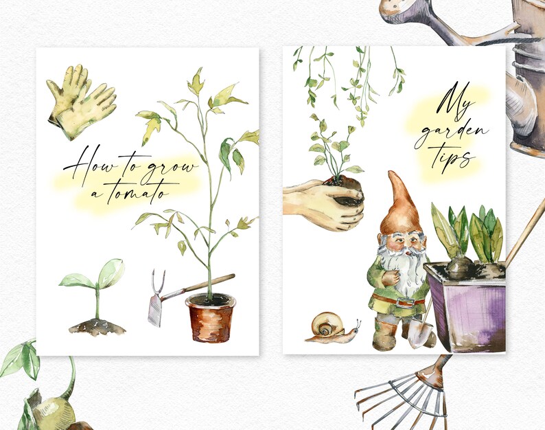 May include: Two watercolor illustrations with gardening tips. The first shows a tomato plant with the text "How to grow a tomato". The second shows a gnome holding a shovel and a potted plant with the text "My garden tips".