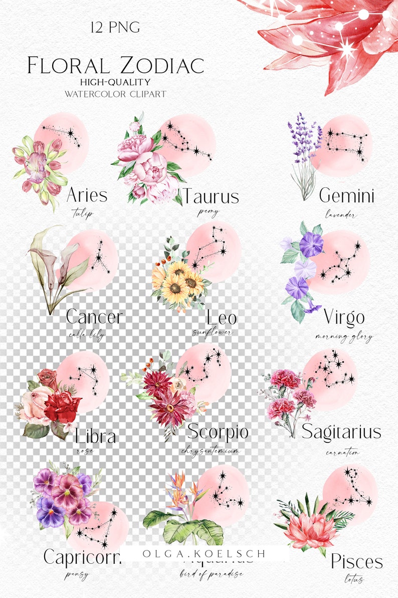 May include: Watercolor illustrations of the zodiac signs with flowers. Each sign is represented by a different flower, such as a tulip for Aries, a peony for Taurus, and lavender for Gemini.