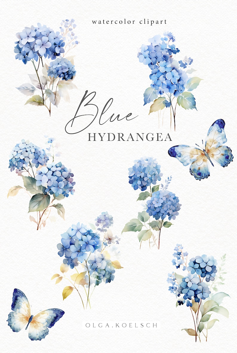 Watercolor hydrangea clipart, Blue floral clip art, Blue bouquets png  for wedding invitation, boy baby shower