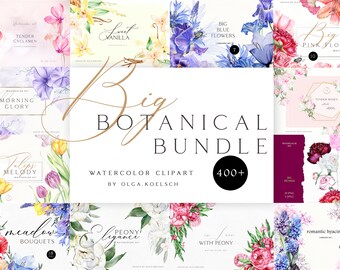 Watercolor floral clipart bundle, Rose clipart for wedding invitation, baby shower, poster, Digital botanical clipart 121
