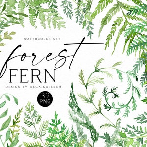 Clipart fougère aquarelle, clipart verdure pour faire-part de mariage, baby shower, bricolage cartes d'anniversaire, clipart nature avec verdure de la forêt.