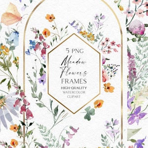 Images clipart de fleurs sauvages peintes à la main, bordures de fleurs sauvages aquarelles png, fleurs de pavot pour faire-part de mariage 145
