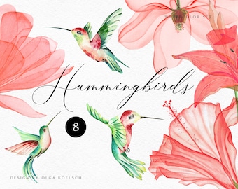 Watercolor hummingbird clipart. Magnolia clipart with humming bird. Hand drawn flower tropical clipart