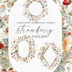 Może przedstawiać: Klipart akwarelowy z trzema ramkami wykonanymi z truskawek, dzikich kwiat&oacute;w i liści. Ramki mają kształt koła, owalu i rombu. Tekst "watercolor wildflowers clipart strawberry FIELDS" jest napisany kursywą u g&oacute;ry obrazu. Tekst "OLGA.KOELSCH" jest napisany u dołu obrazu.