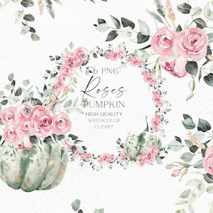 Clipart de calabaza de acuarela, calabaza de otoño png, ramo de rosas rosadas, clipart de granja para baby shower, festival de la cosecha, regalo para mamá de plantas 023