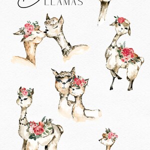 Op de afbeelding: Waterverf illustraties van zeven lama's met bloemenkransen en boeketten. De lama's staan in verschillende poses, waaronder kussen, staan en zitten. De tekst "Boho Llamas" staat bovenaan de afbeelding.