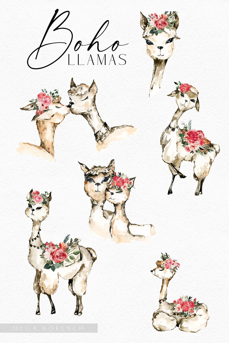 Op de afbeelding: Waterverf illustraties van zeven lama's met bloemenkransen en boeketten. De lama's staan in verschillende poses, waaronder kussen, staan en zitten. De tekst "Boho Llamas" staat bovenaan de afbeelding.