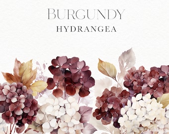 Watercolor boho floral borders clipart, Burgundy Hydrangea frames png for boho wedding, baby shower, rustical posters