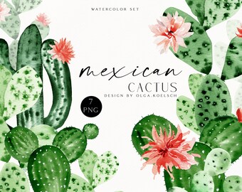 Aquarell Kaktus Clipart, Sukkulenten PNG, Floral Clip Art (digitaler Download)