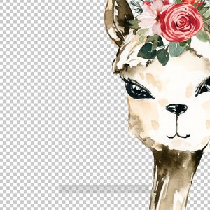 Op de afbeelding: Waterverf schilderij van een lama met een bloemenkrans. De lama heeft bruine ogen en een lichtbruin gezicht. De krans is gemaakt van rode, witte en groene bloemen.