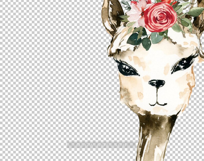 Op de afbeelding: Waterverf schilderij van een lama met een bloemenkrans. De lama heeft bruine ogen en een lichtbruin gezicht. De krans is gemaakt van rode, witte en groene bloemen.