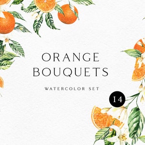 Watercolor orange clipart, oranges fruits png, Citrus wedding invitation clipart,  Summer scrapbooking clipart 034