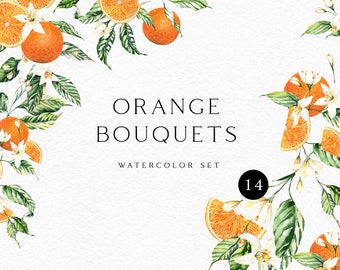 Watercolor orange clipart, oranges fruits png, Citrus wedding invitation clipart,  Summer scrapbooking clipart 034