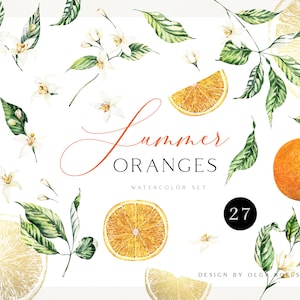 Watercolor orange clipart, Citrus wedding watercolor clipart. Hand-painted citrus elements summer clipart, logo, birthday  034