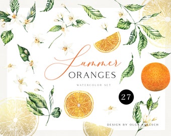 Watercolor orange clipart, Citrus wedding watercolor clipart. Hand-painted citrus elements summer clipart, logo, birthday  034