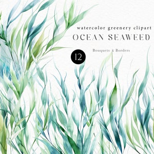 Aquarell Algen Clipart, Unterwasser Pflanzen png, Blatt Arrangement Clipart für Ozean Hochzeitseinladung, geschlechtsneutrale Babyparty